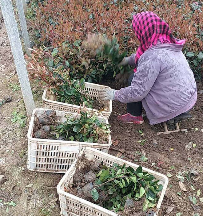 發(fā)貨現(xiàn)場(chǎng)